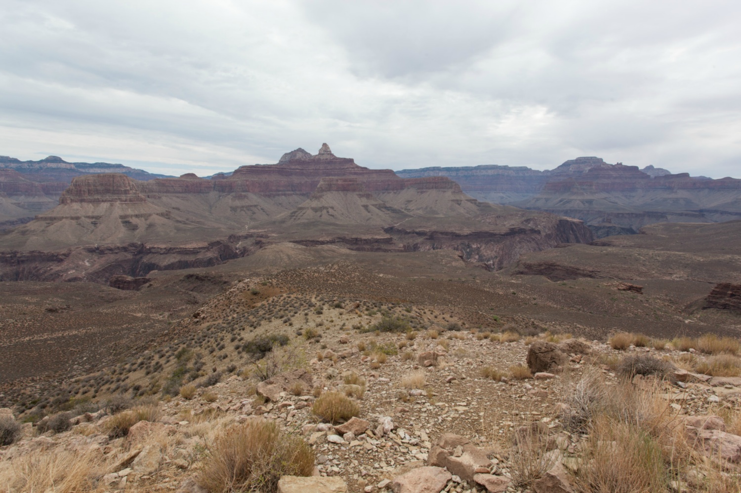 USA_Grand Canyon_104